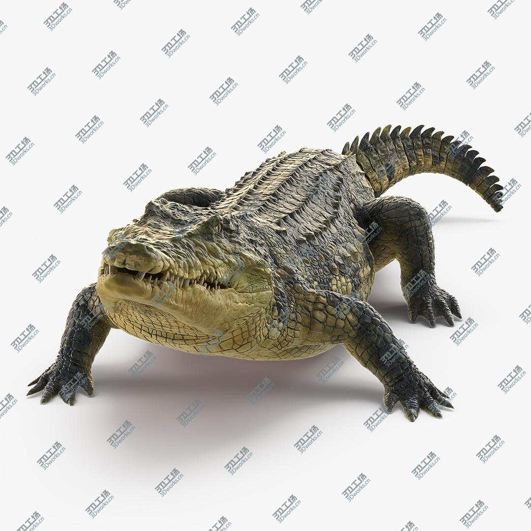 images/goods_img/2021040231/Animated Crocodile Eating Rigged model/1.jpg